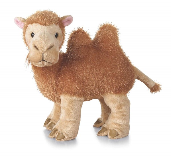 webkinz curly camel