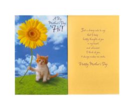 Mothers Day Greeting Card Whimsical
