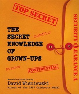 The Secret Knowledge of Grown-ups (Paperback) by David Wisniewski