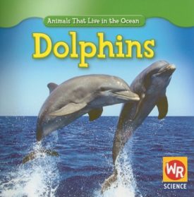 Dolphins (Paperback) by Valerie Weber