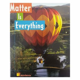 Matter Is Everything (Paperback) by Rebecca Gold