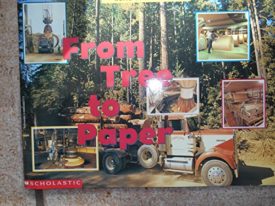 From Tree to Paper (Paperback) by Wendy Davis