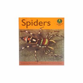 Spiders (Paperback) by Hannah Reed
