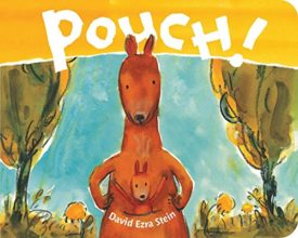 Pouch! (Hardcover) by David Ezra Stein