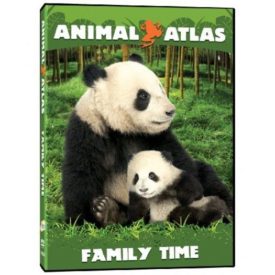 Animal Atlas: Family Time (DVD)