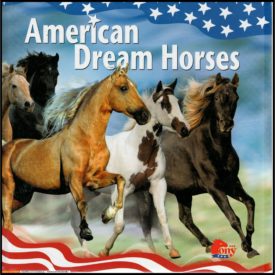 American Dream Horses (Hardcover) by Ann Bishop