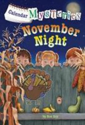 November Night (Paperback) by Ron Roy